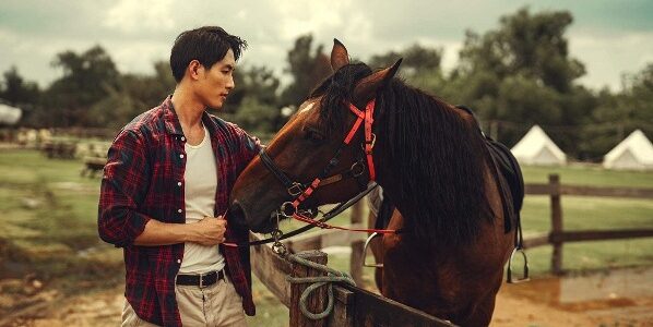 Người mẫu, diễn viên Khoai Vũ “chăn ngựa giữa lòng Sài Gòn”